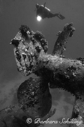 Salem Express in the Red Sea by Barbara Schilling 